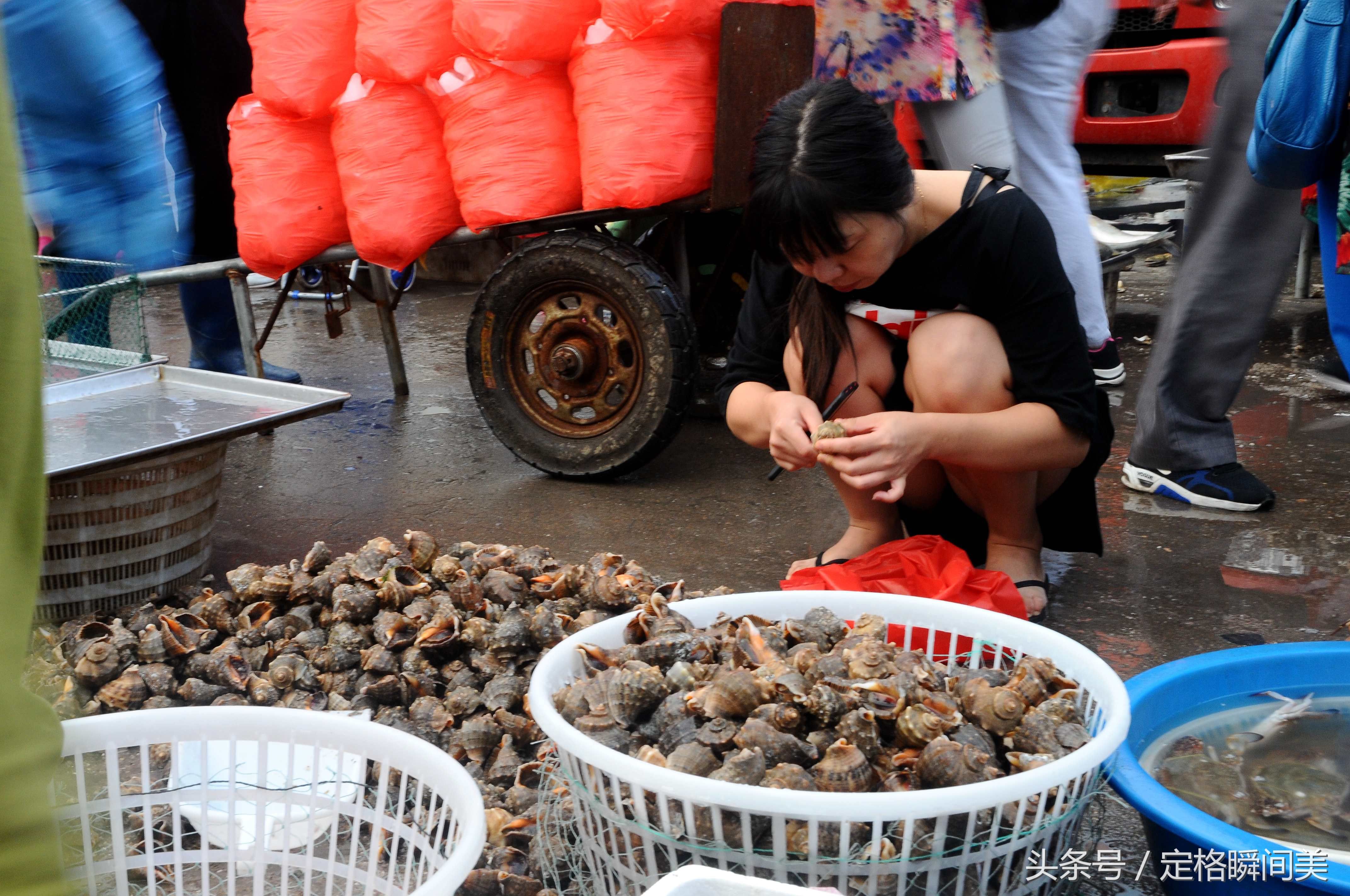 早市上新鲜海螺18元一斤 青岛"大嫚"淘鲜三步骤妥妥肥 快来学学