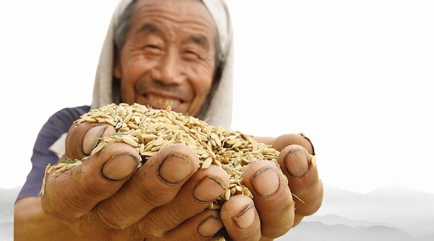 《请珍惜粮食》——公益宣传片优秀作品 《请珍惜粮食》——公益宣传片优秀作品