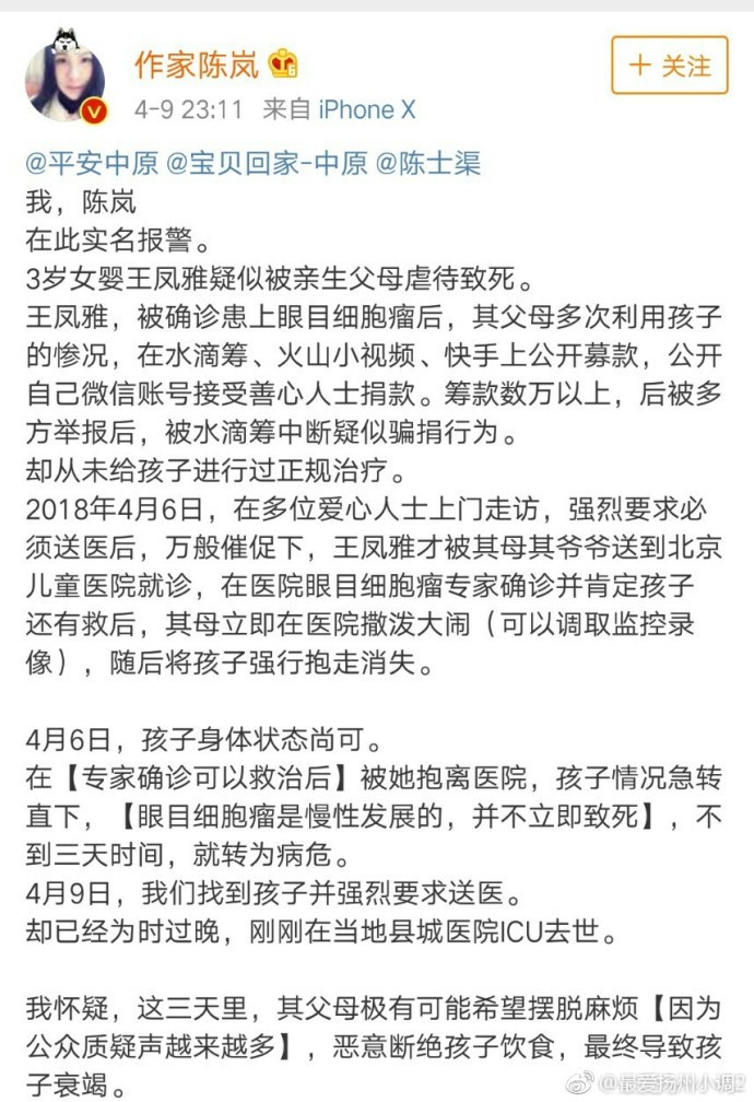 凤雅事件中的大V陈岚:我没造谣,道歉是基于谦