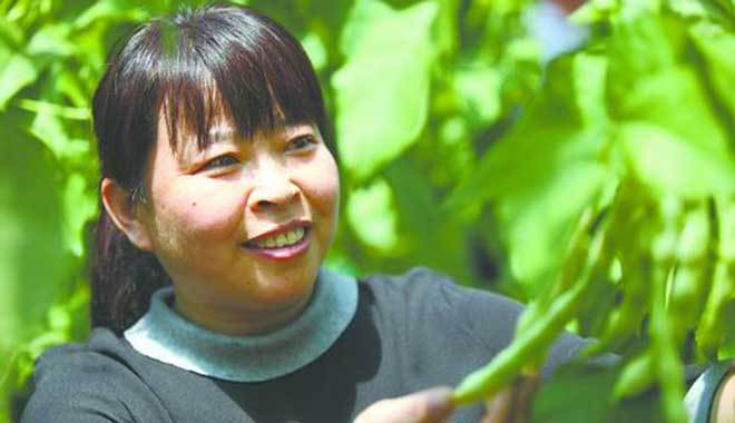 现代版张青和她的高科技 现代版张青和她的高科技