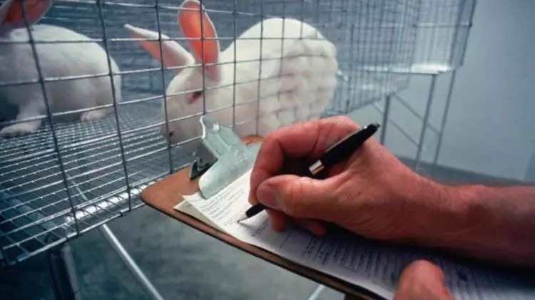 美环保局拟停用动物测试化学品毒性