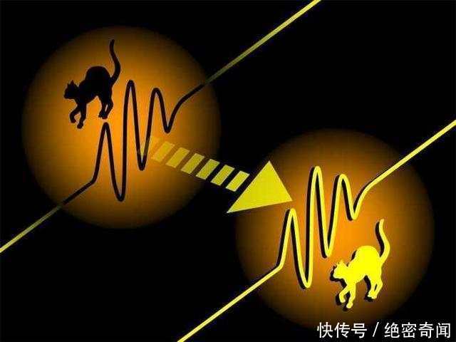 量子宇宙或真实存在, 人类身边存在无数异世界