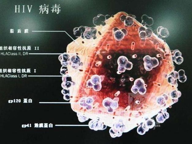 下面和大家分享一些,可以提高身體免疫力的食物