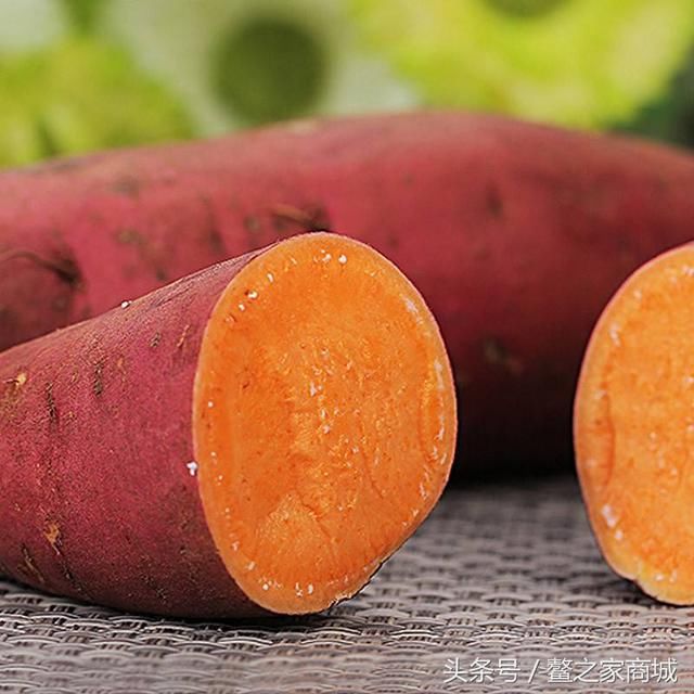 漳州美味特产漳浦特产六鳌红心地瓜