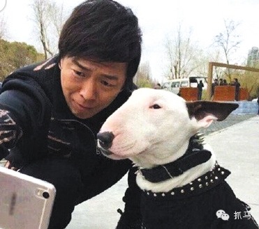 孙红雷撞脸牛头梗 获’”2015年最佳新人奖”