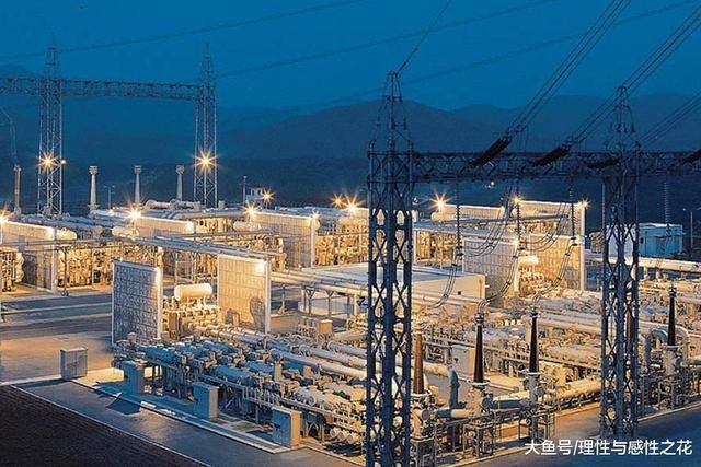 考研率最高的几个专业,网友:不考研都没发展了