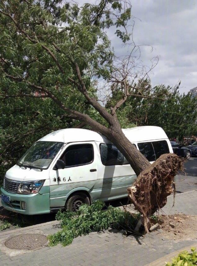 北京刮起8级大风 飞机都吹歪了