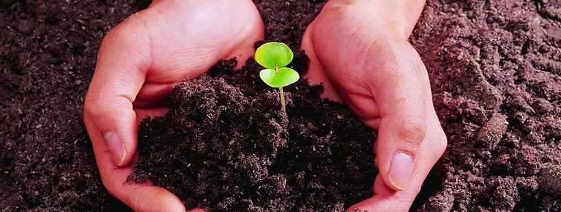 定期寿险和终身寿险哪个好?优缺点PK让你一目