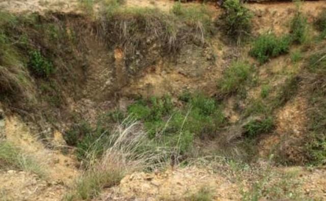 清孝陵真的没被盗过吗?其实,盗墓者早在陵墓上