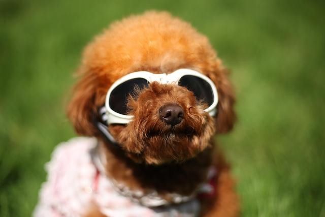 年轻人创业做什么好?没资金没经验怎么办?小