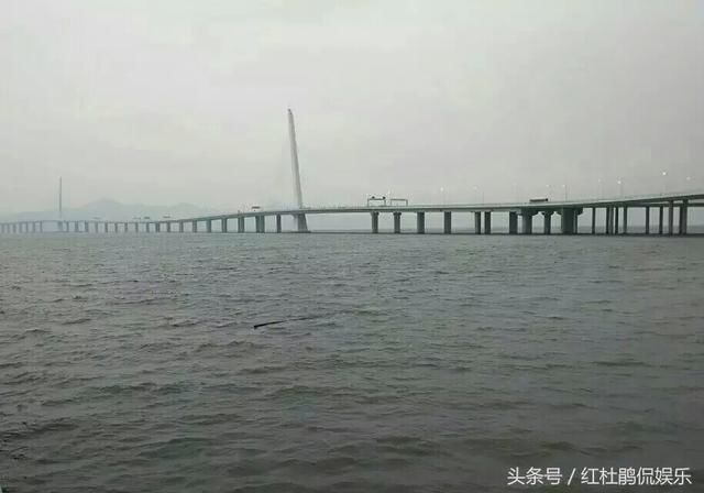 深圳湾跨海大桥,连接香港元朗与深圳蛇口,来深