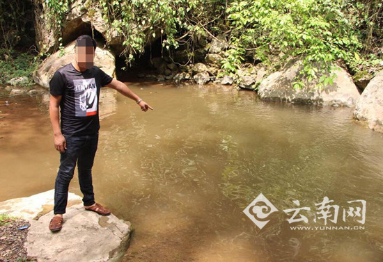 游客西双版纳放生的拟鳄龟被吃了 放生者被罚