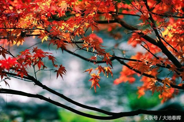 简短几句话,把人生讲透了,大彻大悟!