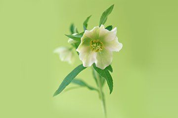 身累,是一种充实;心累,是一种空虚