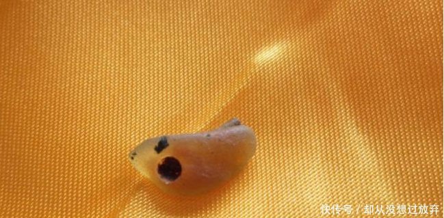 他圆寂前曾发誓,火化后舌头不焦烂,果然诞生世界唯一舌舍利子