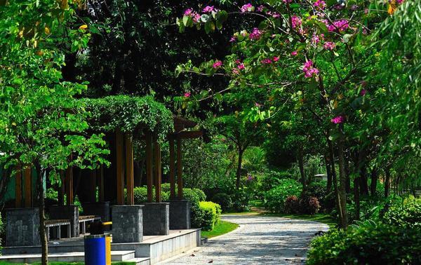 深圳光明新城公园游玩攻略