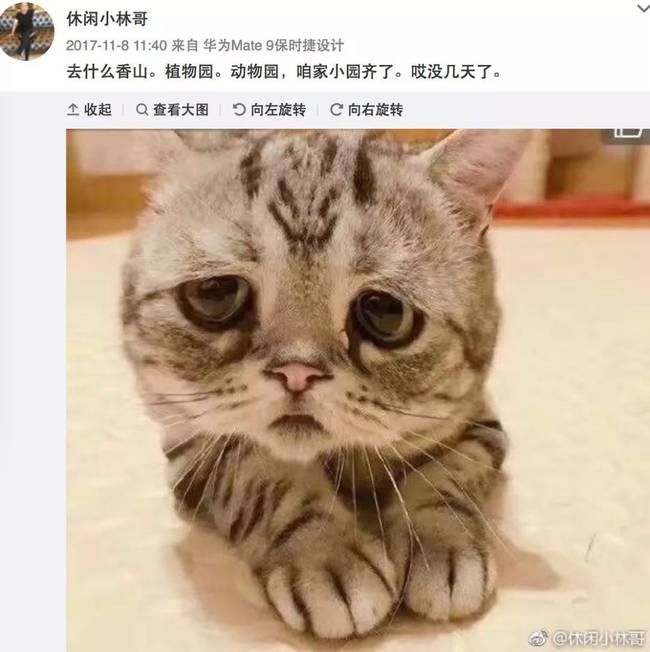 杨幂不回香港过年的真相,被她爸爸暴露了!刘恺