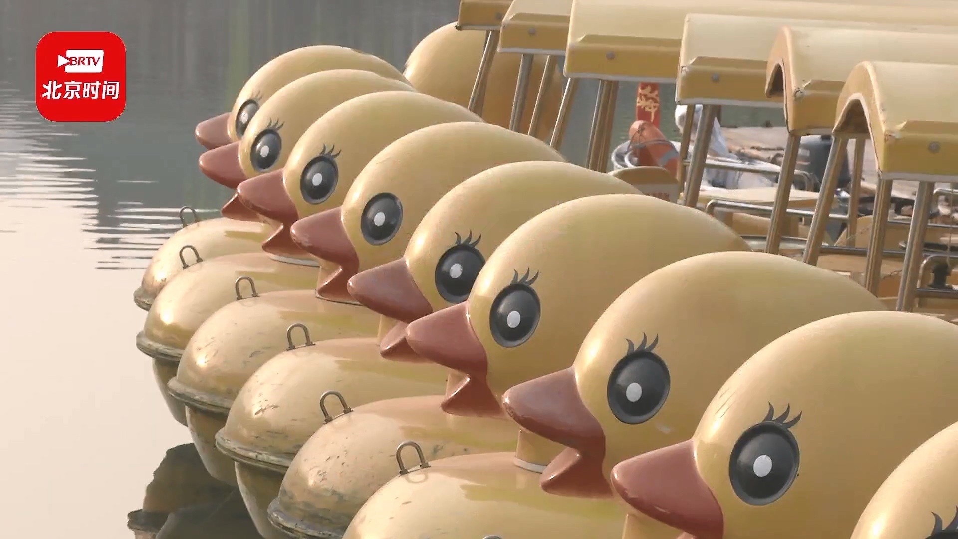 龙潭公园“小黄鸭”开航啦!180条游船每天等你来畅游→ 龙潭公园“小黄鸭”开航啦!180条游船每天等你来畅游→