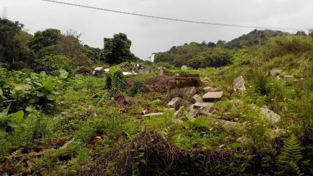 深圳无人村,全村被征地拆得只剩下一座祠堂!