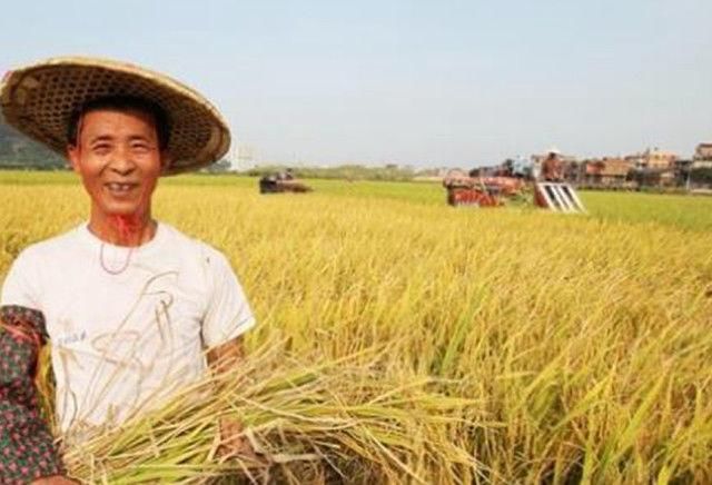 50岁以上的农民工怎么养老?国家来给你补贴,不