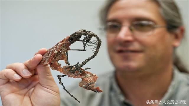 在7000万年前的恐龙时代,人类祖先是什么样子