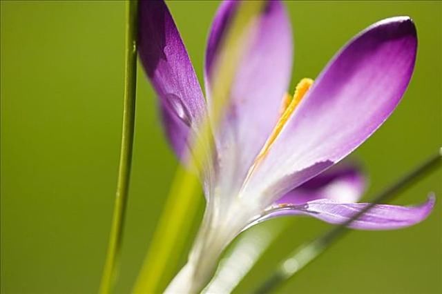 农村土地确权登记时,新生儿没有土地也可登记