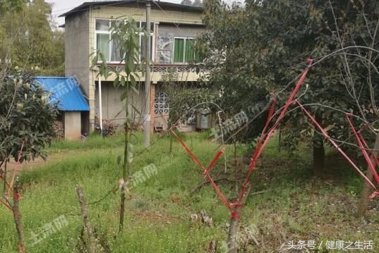 你知道农村低保每人每年标准是多少?