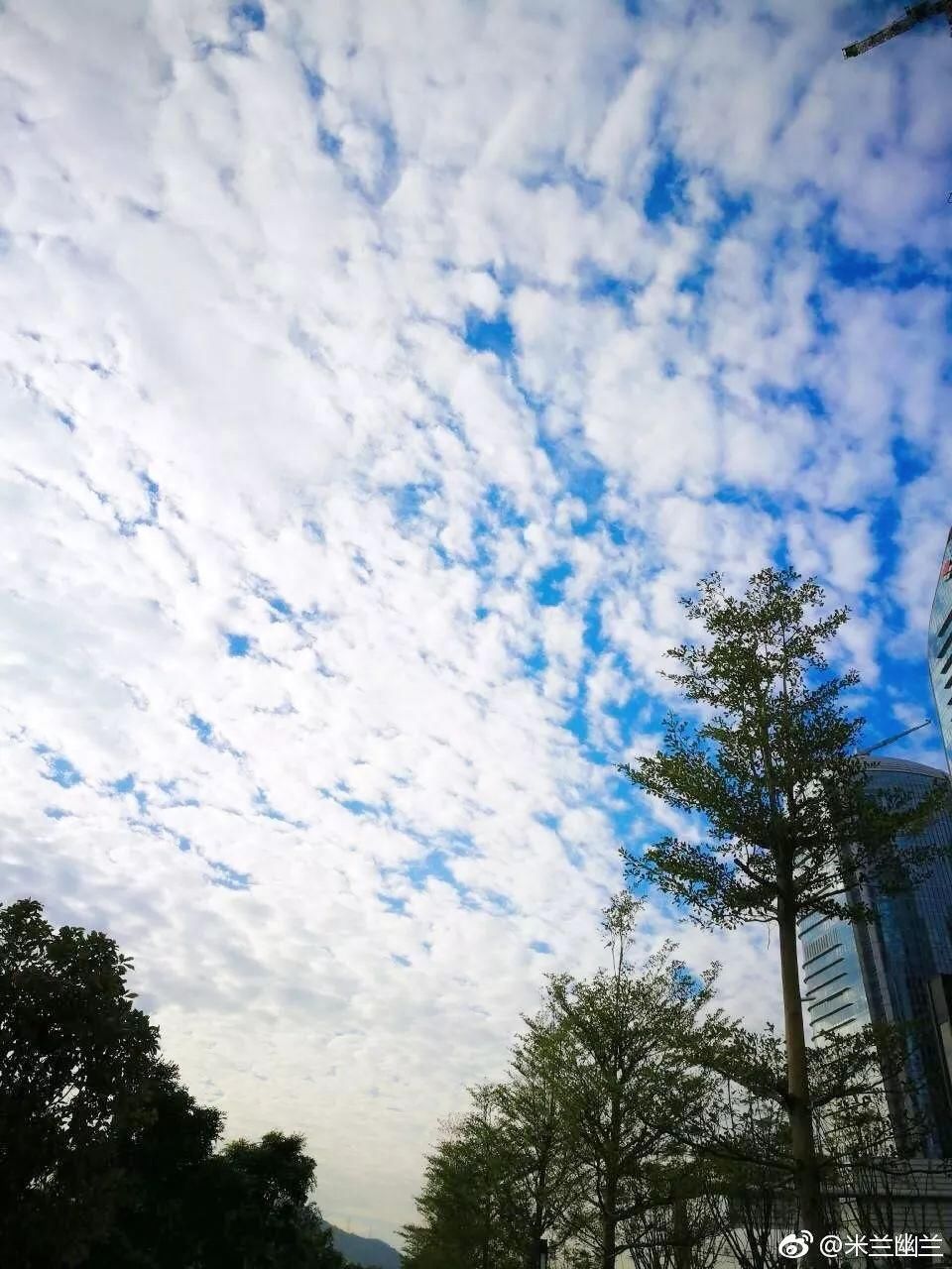 气温还要再低?深圳2018气候预测:台风偏多气