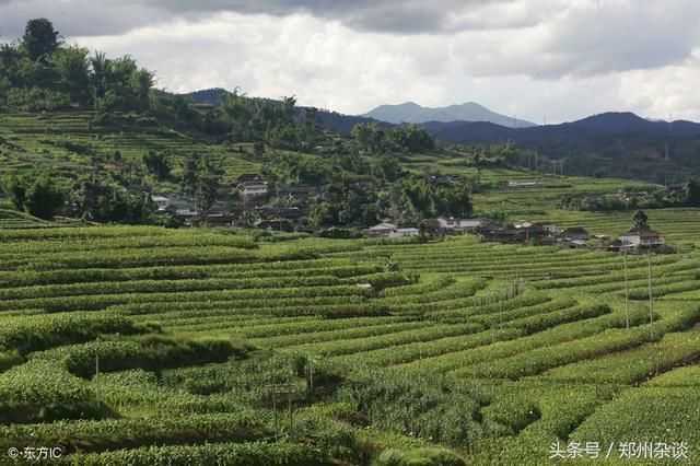 云南一地级市被称世界茶源,现用下辖县以前的