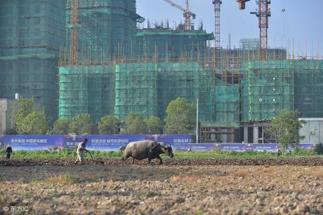 全国耕地总数公布!18亿亩红线守住了吗?来看保