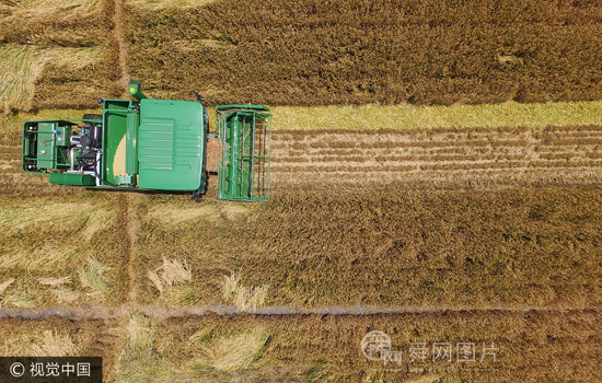 无人机航拍鲁西万亩