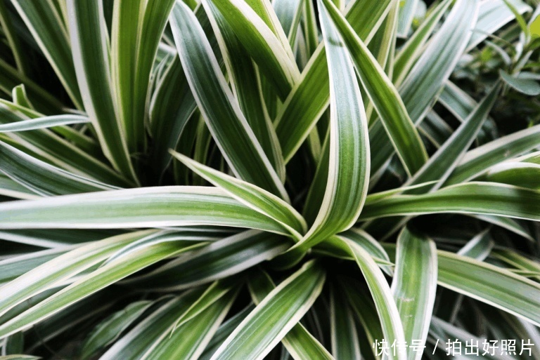 随时记录生活小确幸,佳能微单EOS M100测评