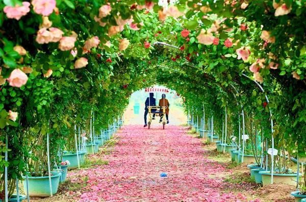 五一出游诸暨市内市外哪里好玩哪里不要去,最