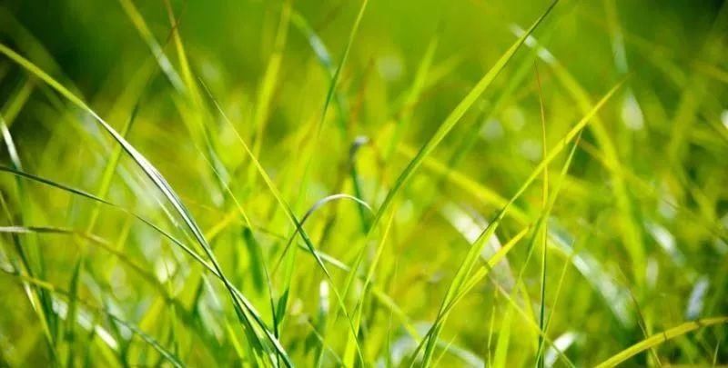 河南高考答题卡调包案现逆转?考生故意考砸,家