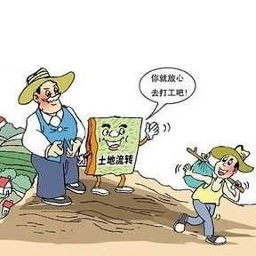 农村土地流转有骗局,农民要注意!不然会吃大
