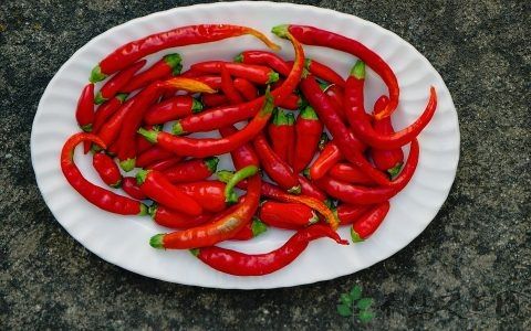 什么汤补精子活力