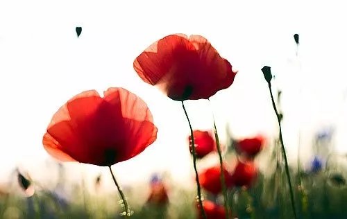 短而有感的好句,最新个性签名