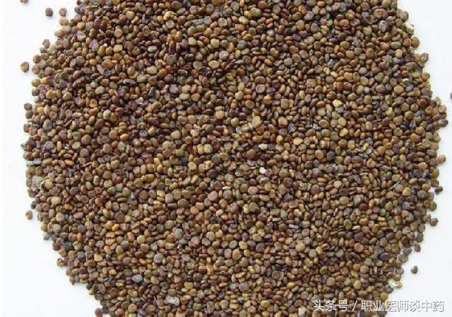 10种常用补阳中药的功效作用及茶饮配方