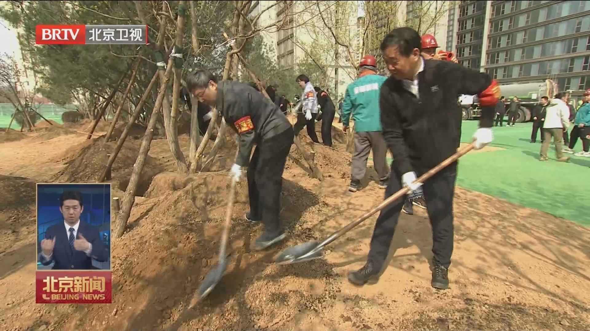 石景山区开展首都全民义务植树日活动