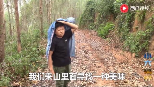 上传视频赚钱,通过头条短视频做自媒体淘宝客