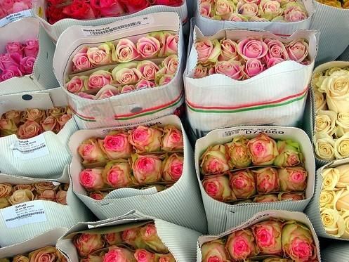 适合发朋友圈心情签名短句子32个,我选第4个,