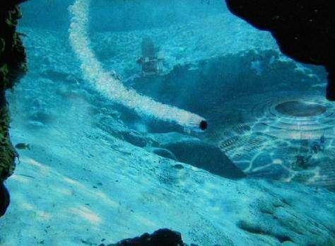 南极死光是什么?参与的科学家所有人曾短暂失