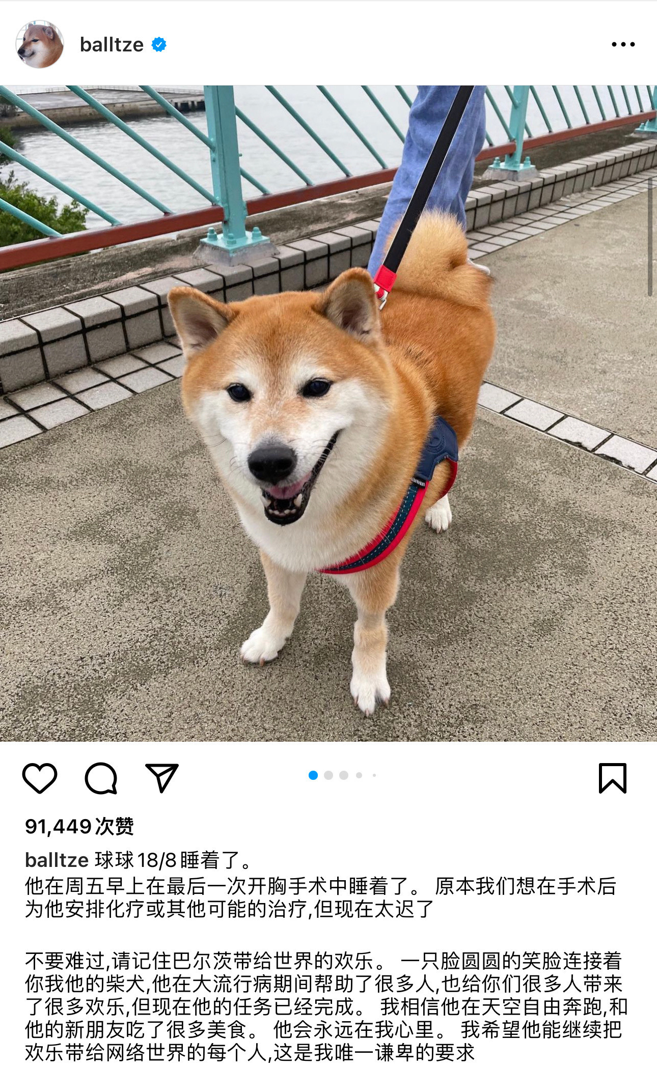 cheems去世,再见了,所有的cheems。 cheems去世,再见了,所有的cheems。