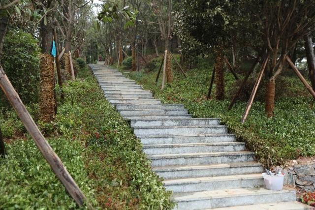 什么都阻挡不了苗族人创业,在大山里盖起了民