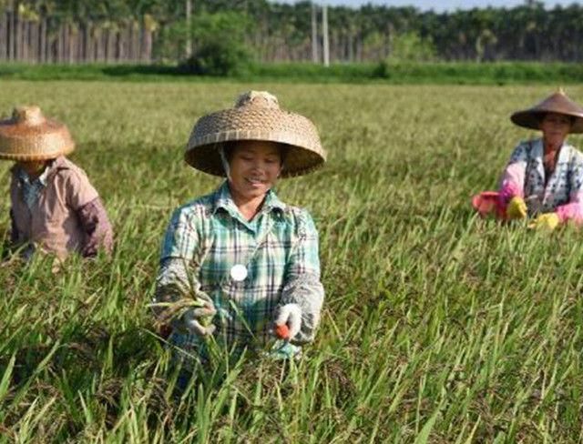 50岁以上的农民工怎么养老?国家来给你补贴,不