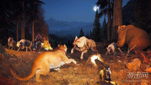 孤岛惊魂5雇佣兵系统&合作模式简单介绍