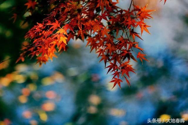 简短几句话,把人生讲透了,大彻大悟!