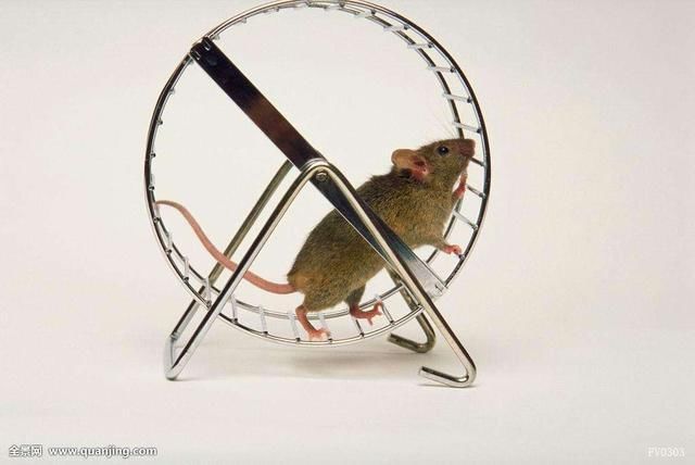 既然动物是向着有利生存进化,那为什么动物的