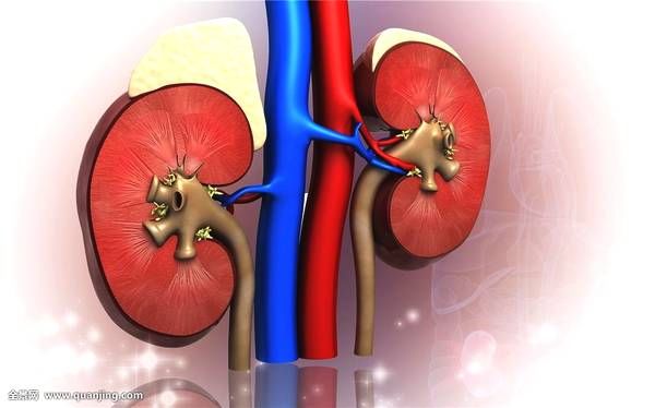 养肾一定要改变这些坏习惯,肾虚最怕四种食物