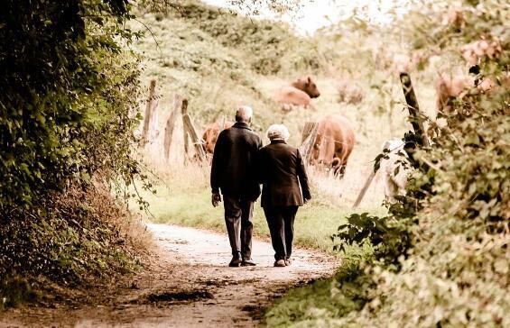 养老保险在哪里领取?每月要交多少钱?退休后